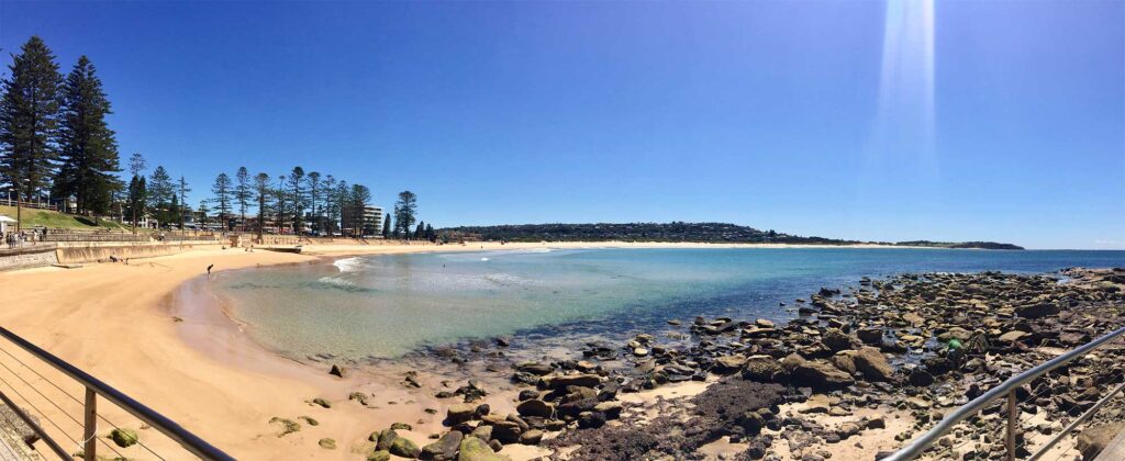 DYRSL Swimming Club.