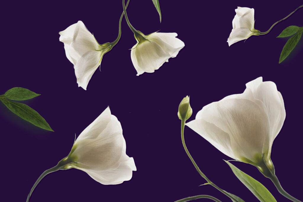 Mother’s Day Celebrations.